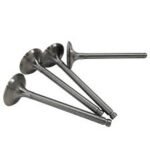Valves (Intake & Exhaust)
