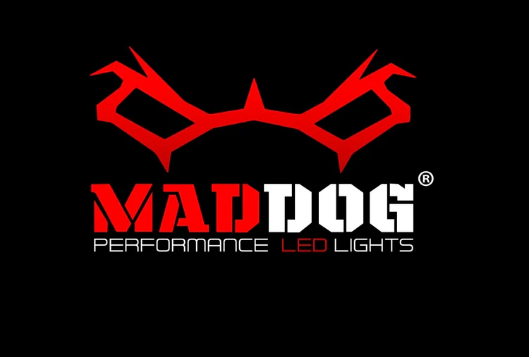 FOG LIGHT